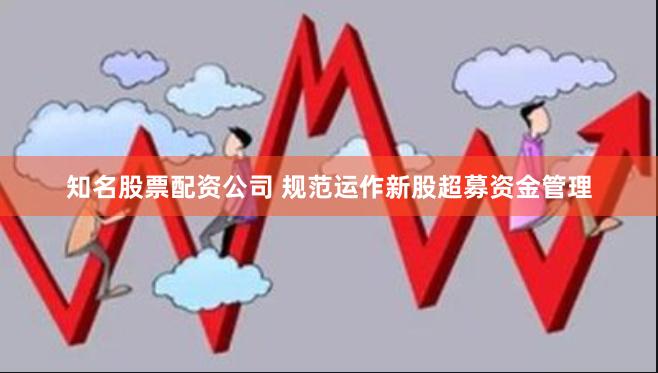 知名股票配资公司 规范运作新股超募资金管理