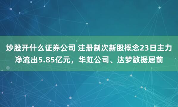 炒股开什么证券公司 注册制次新股概念23日主力净流出5.85亿元，华虹公司、达梦数据居前