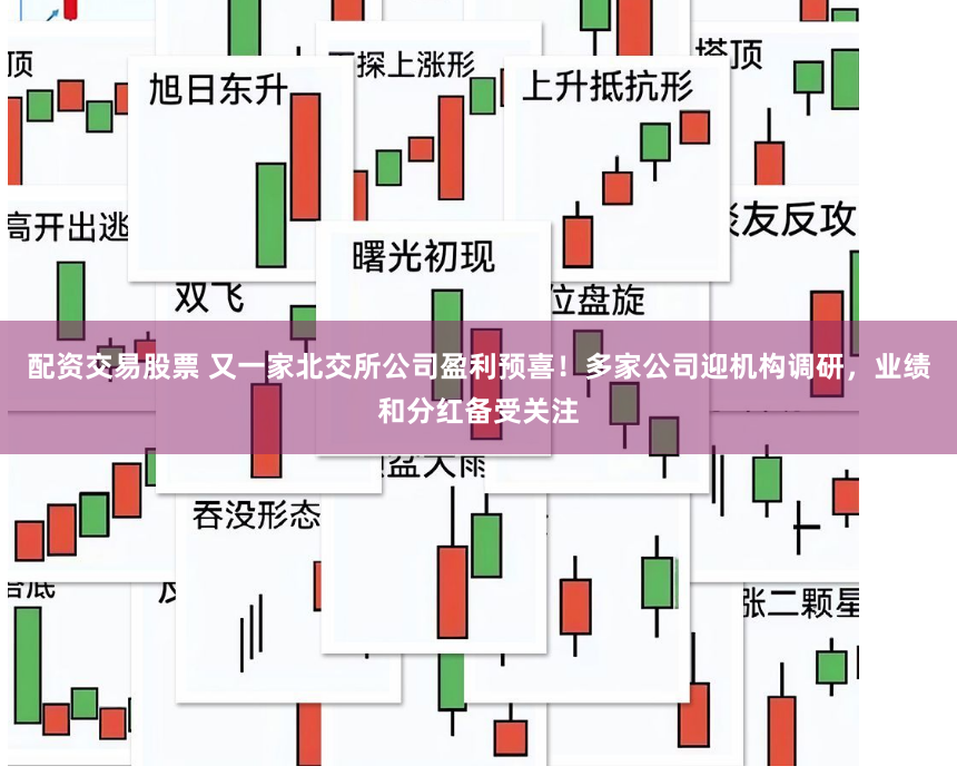 配资交易股票 又一家北交所公司盈利预喜！多家公司迎机构调研，业绩和分红备受关注