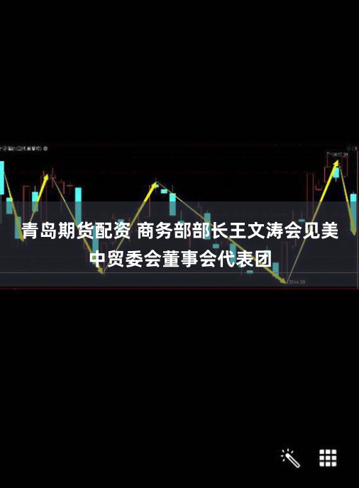 青岛期货配资 商务部部长王文涛会见美中贸委会董事会代表团