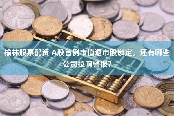榆林股票配资 A股首例市值退市股锁定，还有哪些公司拉响警报？