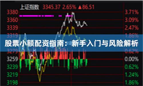股票小额配资指南：新手入门与风险解析